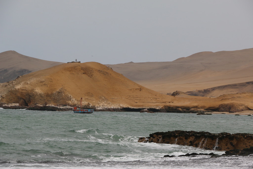 Paracas National Reserve by ingrid01