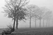 16th Nov 2010 - Foggy Start