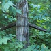 Fence Post by selkie