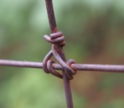 3rd Aug 2015 - Wire Clasp