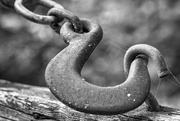 5th Aug 2015 - Hook and Chain