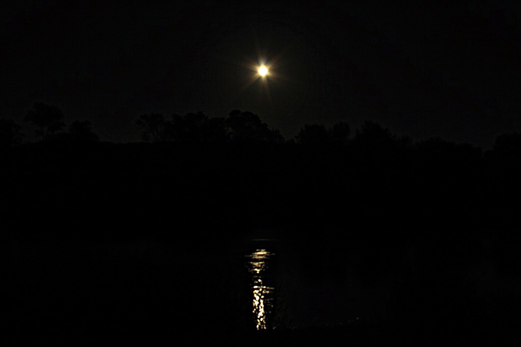 Moon Over the Delaware by olivetreeann