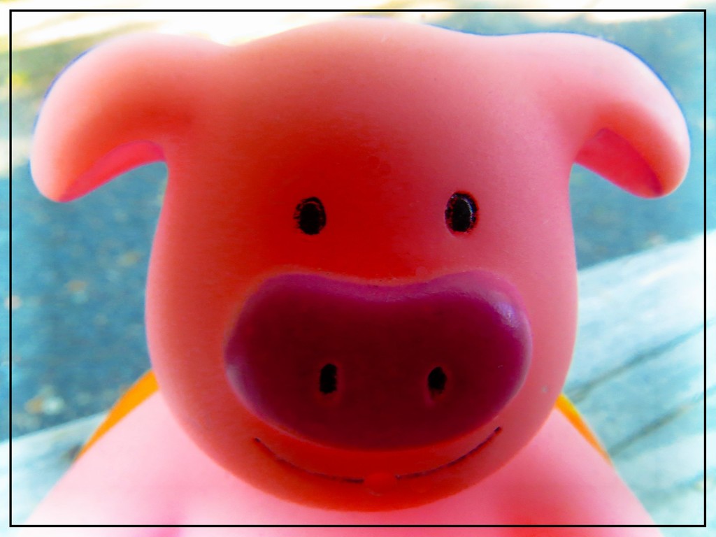 One Happy Piggy by olivetreeann
