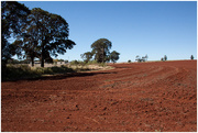 6th Aug 2015 - Red Soil 