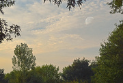 5th Aug 2015 - Sunrise Moon