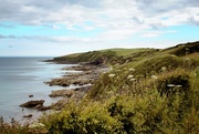 6th Aug 2015 - Cornish coast