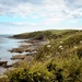 Cornish coast by swillinbillyflynn