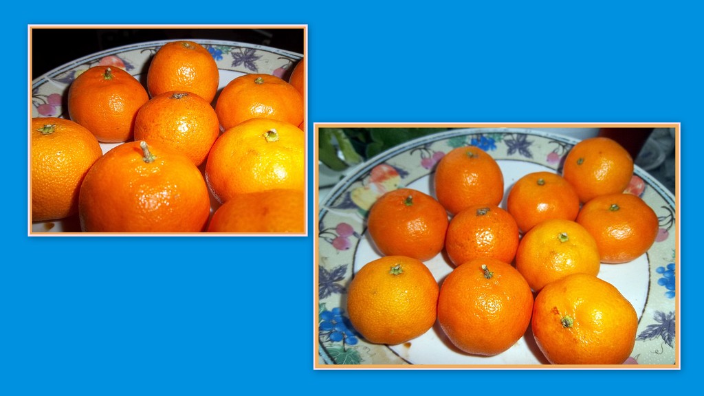 Oranges. by grace55