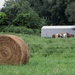 Hay Is for Horses  by tunia