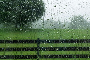 7th Aug 2015 - Summer Showers