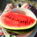 watermelon by inspirare