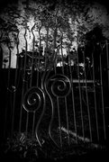 7th Aug 2015 - What mysteries lie behind the iron gate