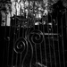 What mysteries lie behind the iron gate by susale