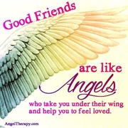 21st Jun 2015 - Good friends are like angels...