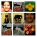 Grace55, fruit and my cats. by grace55