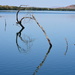 Reflections on the Ord River DSC_6284 by merrelyn