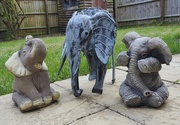 6th Aug 2015 - Elephants in my garden!!!