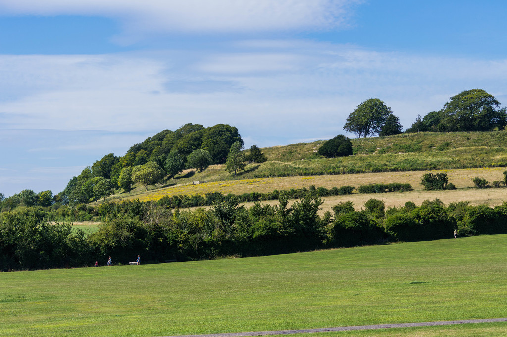 Old Sarum by susie1205