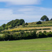 Old Sarum by susie1205