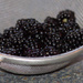 First wild blackberries........ by susie1205