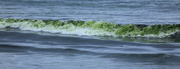 8th Aug 2015 - Green Waves