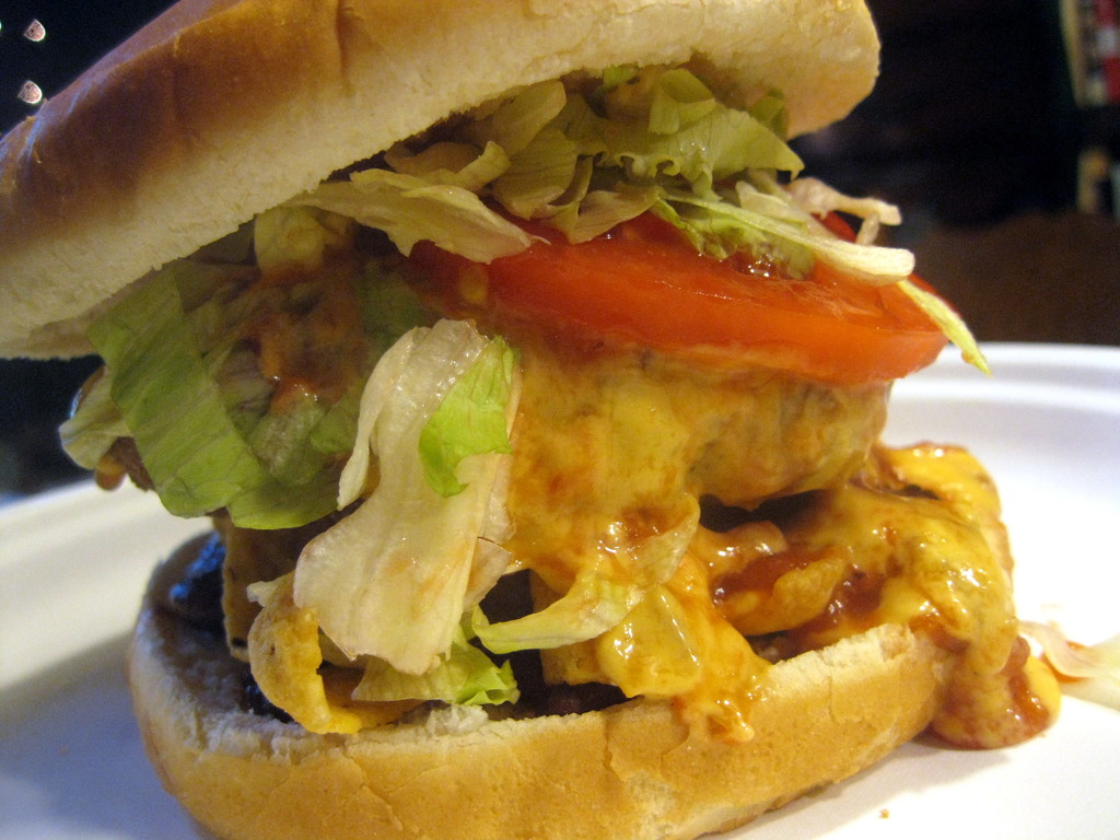 Nacho Burger by happysorceress