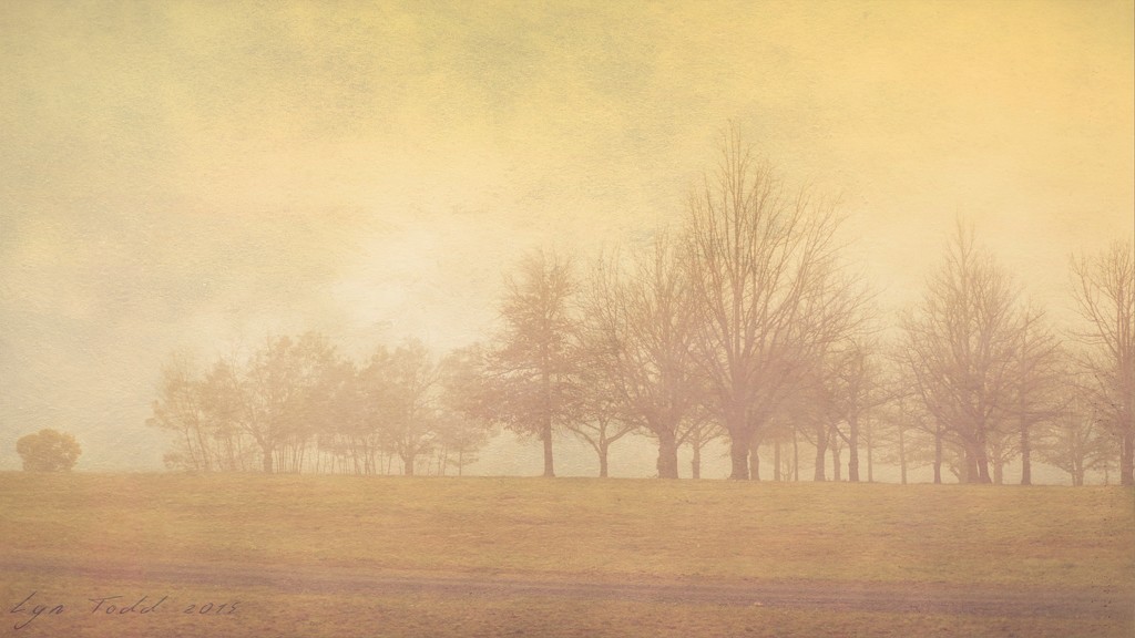 misty morning by ltodd