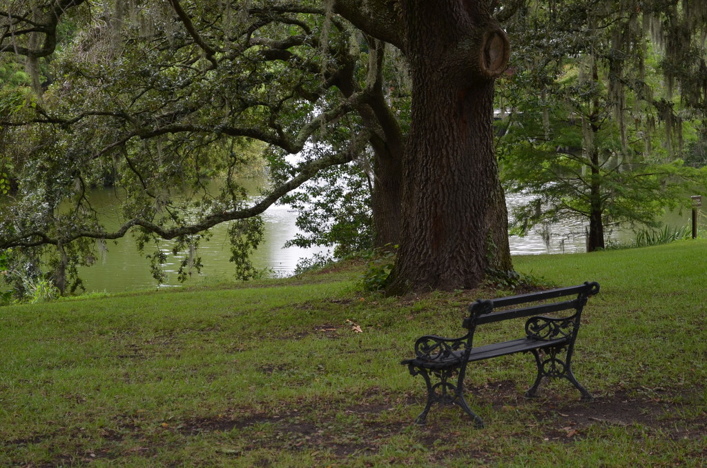 A favorite place to sit and relax, Charles Towne Landing State Historic Site, Charleston, SC by congaree