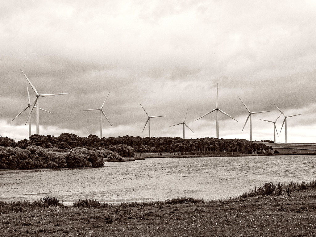 Wind Farm by frequentframes