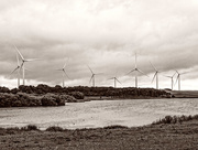9th Aug 2015 - Wind Farm