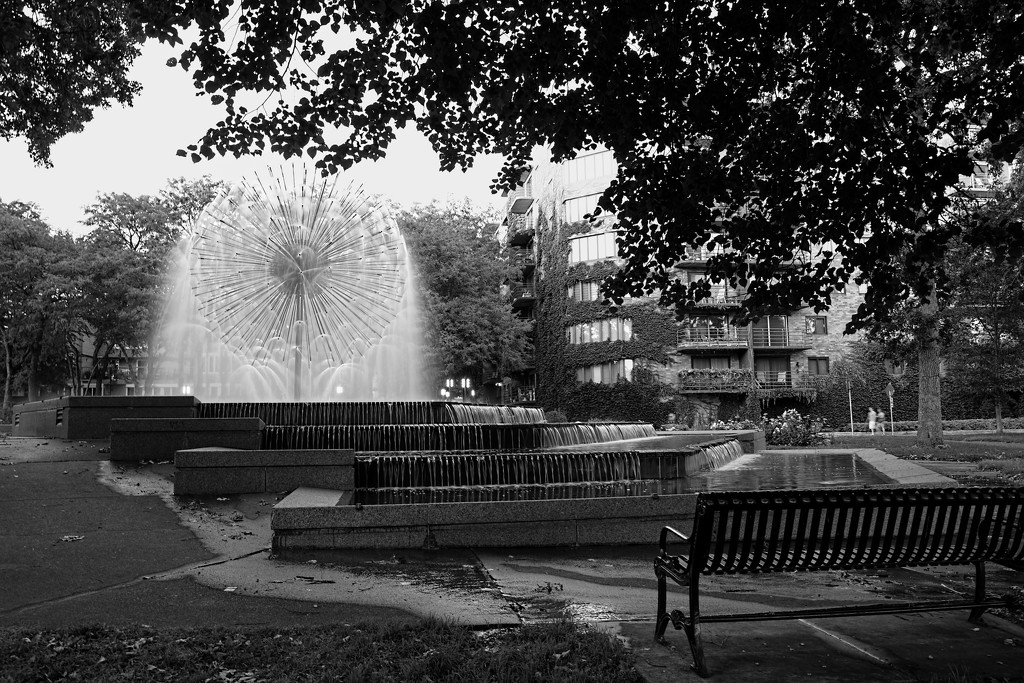 Dandelion Fountain by tosee