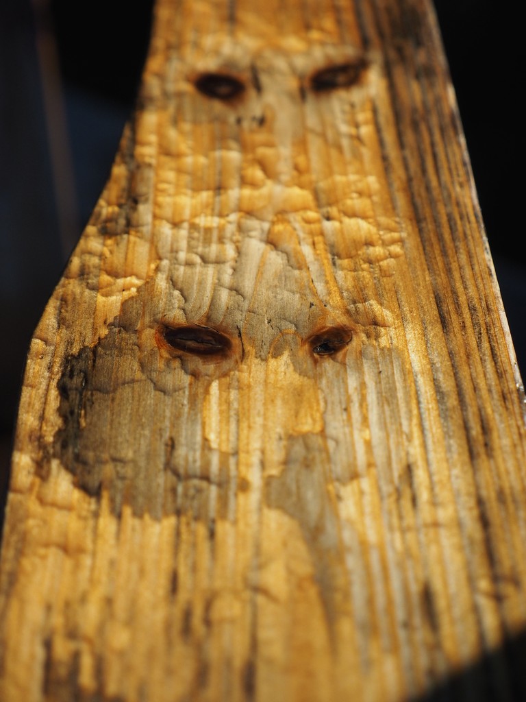 Faces in the Wood by selkie