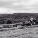 Vintage baling by barrowlane