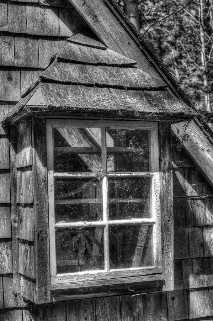Cottage Window by taffy