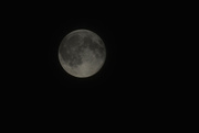 5th Aug 2015 - Moon 