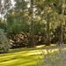 A view of the garden in the evening light..... by snowy