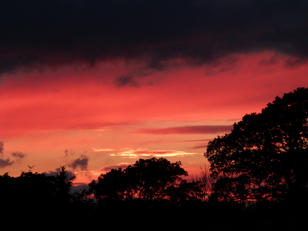 Red sky at night.  by shirleybankfarm