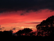 10th Aug 2015 - Red sky at night. 