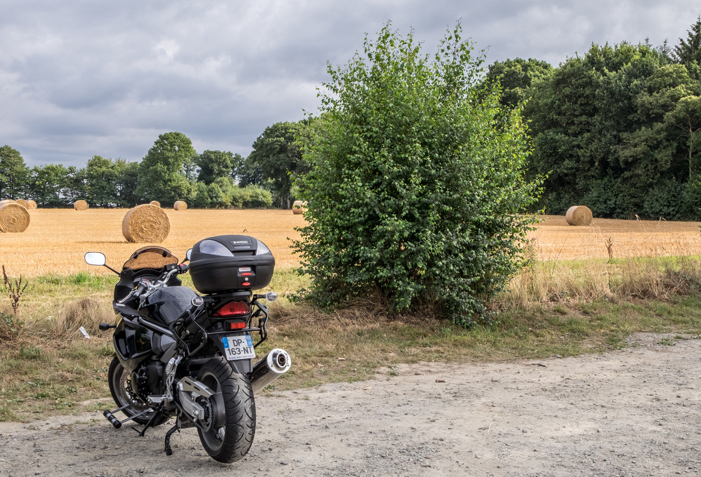 A Year of Days: Day 222 - A Ride Out by vignouse