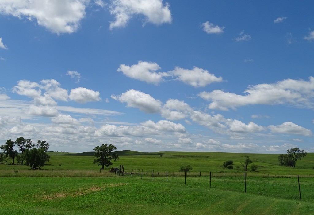 The Flint Hills/Tallgrass Prairie, Kansas by annepann