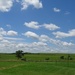The Flint Hills/Tallgrass Prairie, Kansas by annepann
