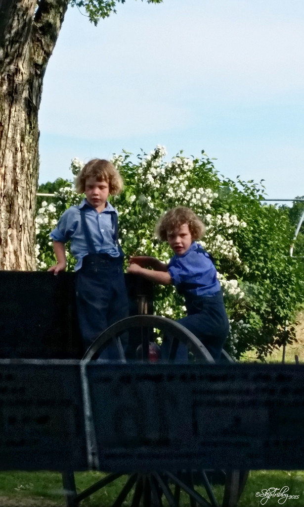 Amish Children by skipt07