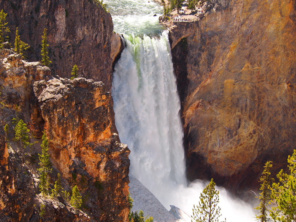 Yellowstone Falls by redy4et