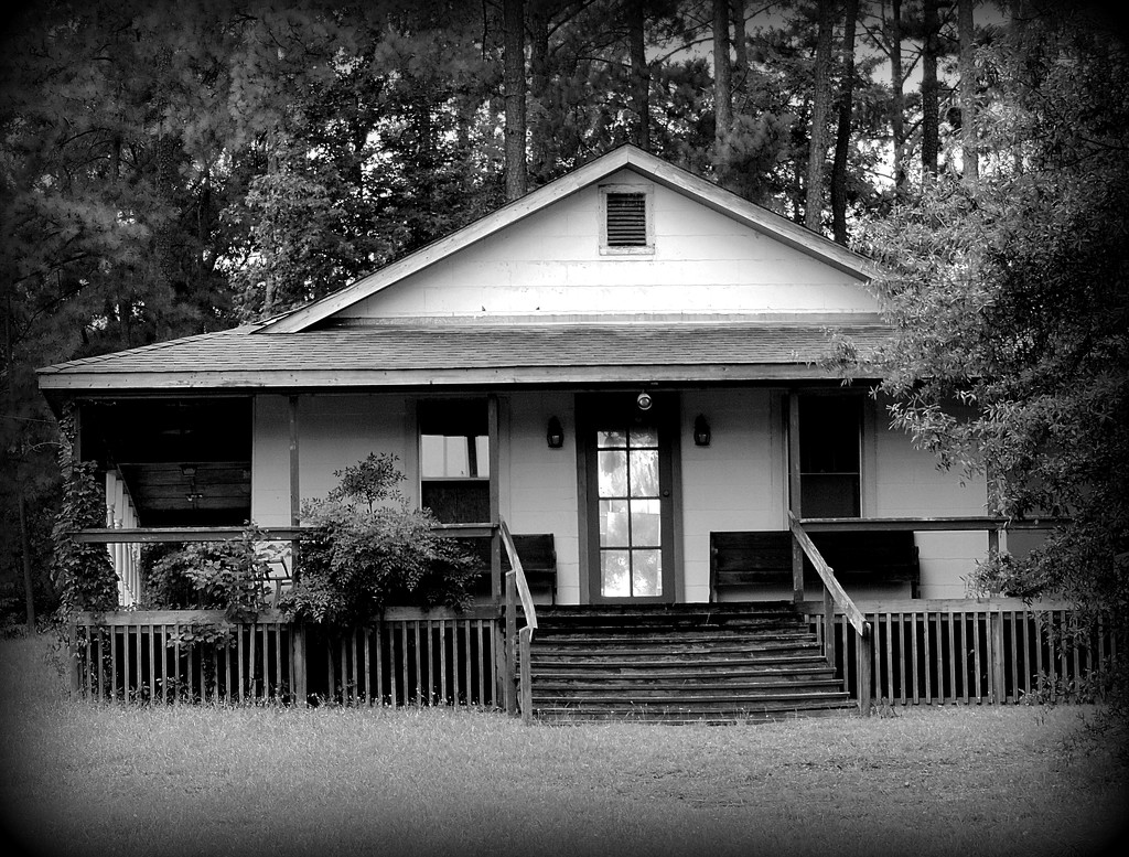 Another abandoned house in the woods....downtown! by homeschoolmom