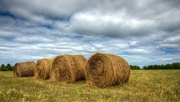 11th Aug 2015 - Hay Bales on a Cloudy Day