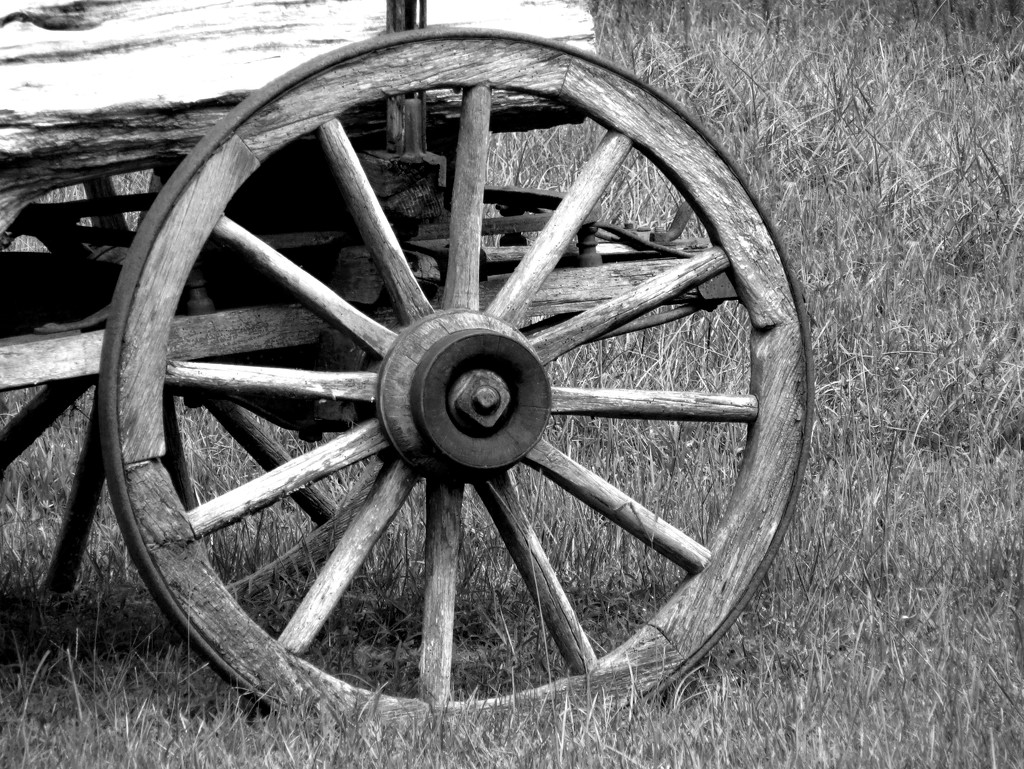 Wagon Wheel by grammyn