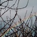Rainbow Sticks by wenbow
