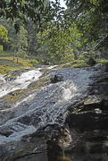 7th Aug 2015 - cascades Lata Bayu 2