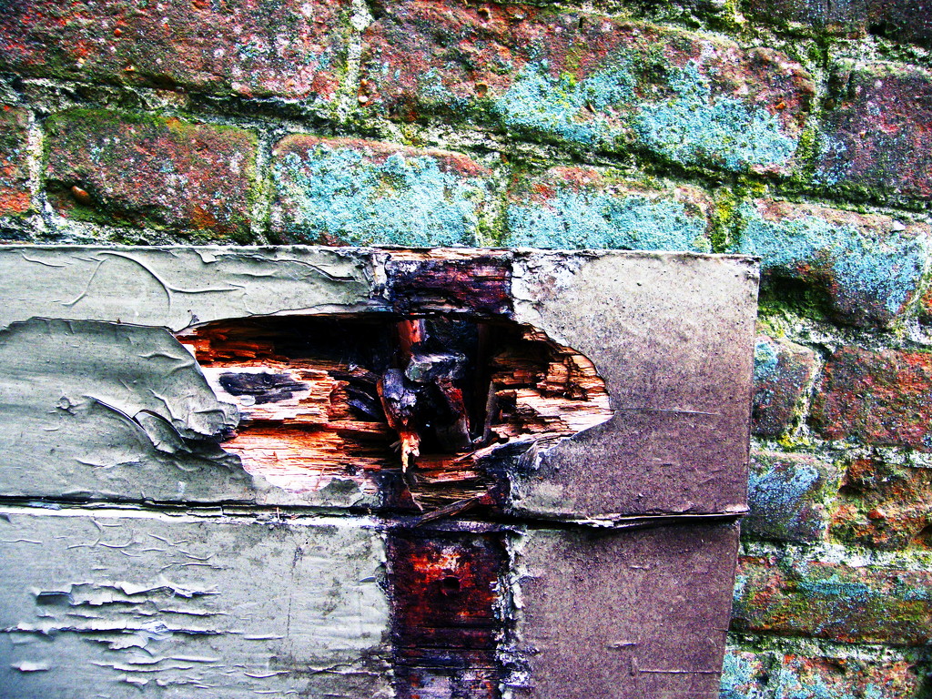 Textures in wood and brick by jeff