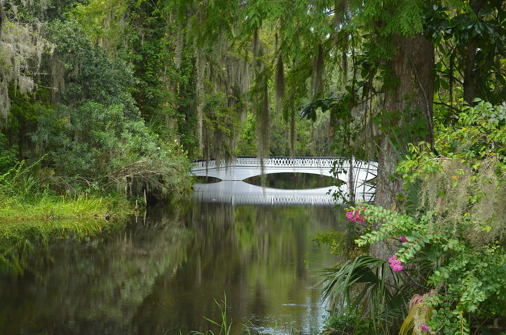 The Long White Bridge, Magnolia Gardens, Charleston, SC by congaree